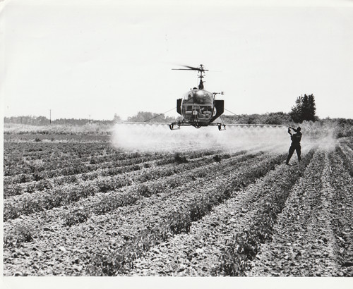 Usa pulvérisation insecticide - usa,