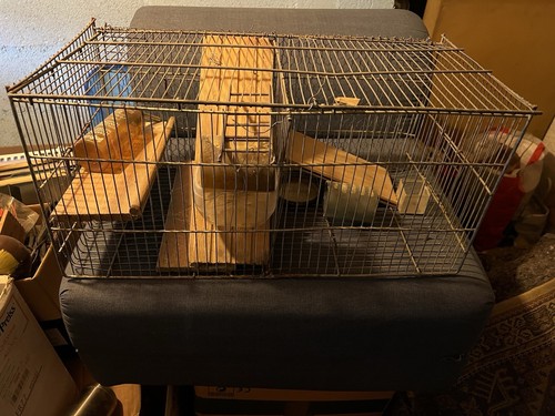 Cage pour rongeurs hamsters - cage,