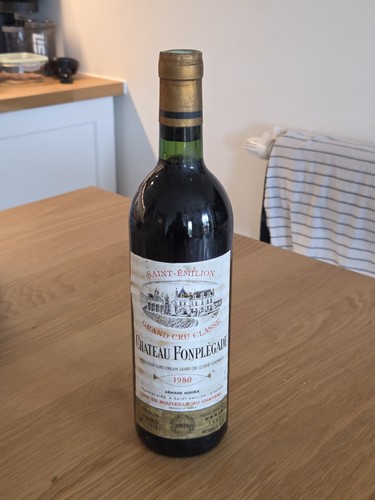 Château fonplégade - château,