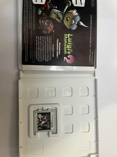 Luigi mansion nintendo - luigi’s,
