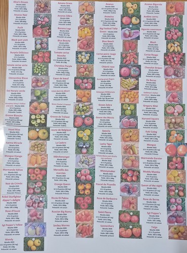 Variétés tomates au - 60,
