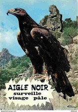 Animals - Birds - Humorous Animals - 78 - Royal Eagle - Humoristiq Card