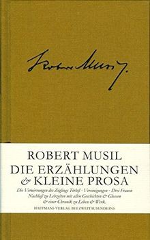 Die erzählungen kleine prosa - die,