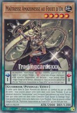 Yu-Gi-Oh! Maîtresse Amazonesse au Fouet d'Or : C MP23-FR219