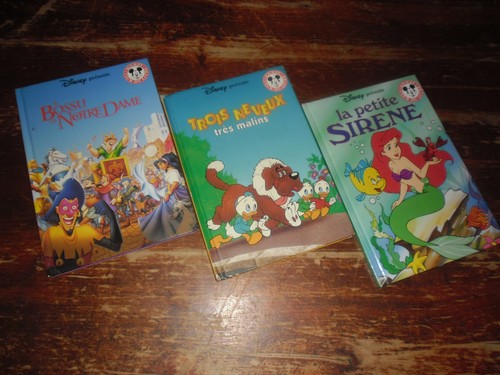 Voir lot 3 anciens livres - a,