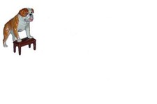Miniature en porcelaine - CHIEN BULLDOG ANGLAIS SUR UN TABOURET