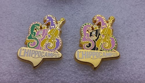 Ed197 pin hippocampus 2 - pin's, l'hippocampus