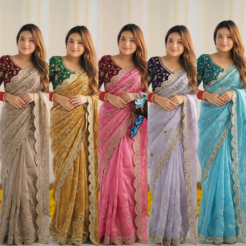 Bollywood saree blouse - bollywood, style