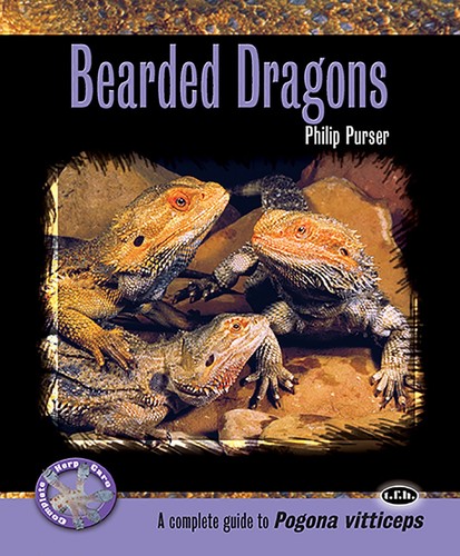 Bearded dragons complete - dragons:, a