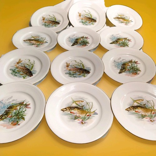 Assiettes poisson - 12,