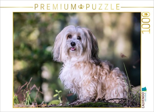 Puzzle calvendo une - puzzle,