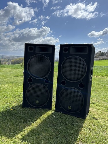 Enceinte sono - enceinte,