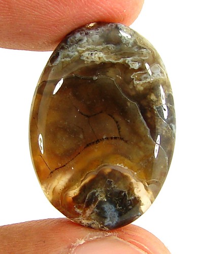 Agate en bâton - 21.20,