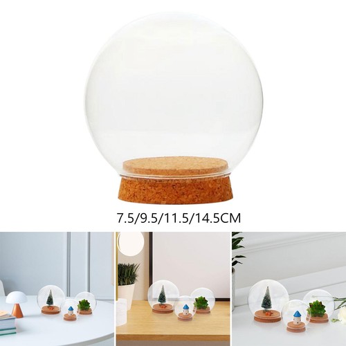Cloche verre avec - cloche,