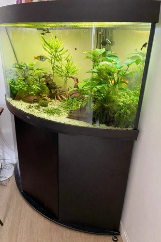 Aquarium juwel trigon - juwel, 350