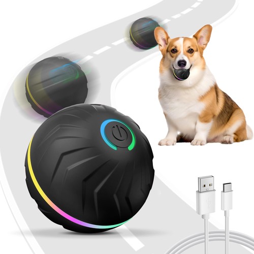 Jouet interactif pour - jouet,