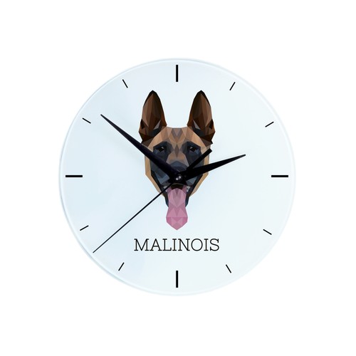 Berger belge malinois - berger,