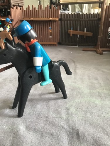 Playmobil cavalier nordiste