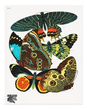 Art mural affiche papillon
