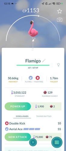 Flamingo non shiny registred - shiny, (registred