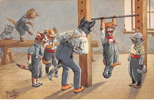 Illustrators 78208 - 78208,