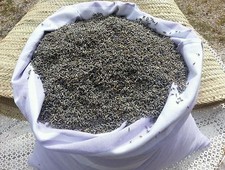 500 G. FLEUR DE LAVANDIN