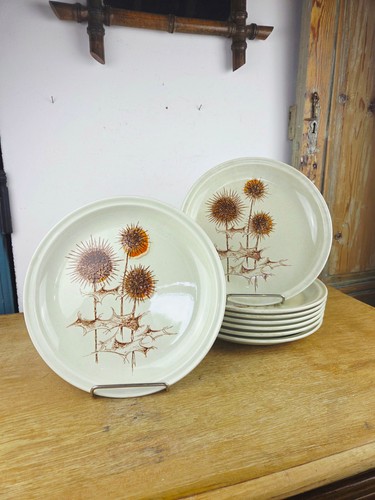 Lot assiettes vintage - 8,