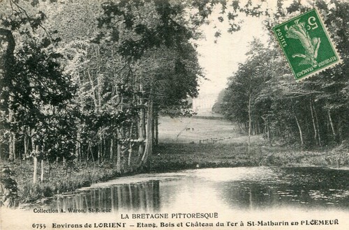 Carte etang bois - carte,