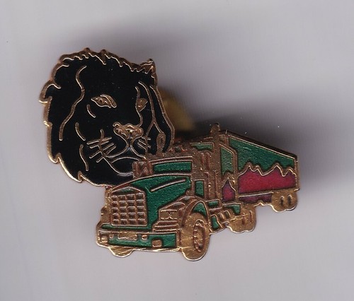 Rare pins pin camion - pins, pin's