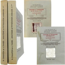 Anatomie et physiologie