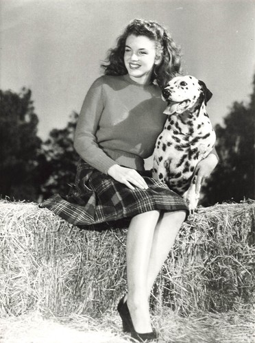 Marilyn monroe photo cinema - photo,