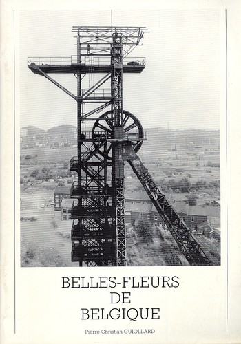 Belles fleurs belgique - belles, de