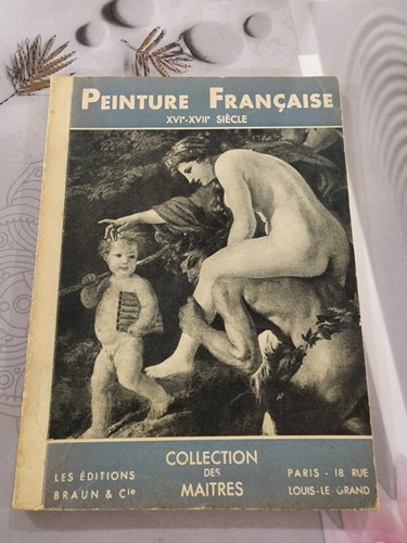 Livre peinture française - livre,