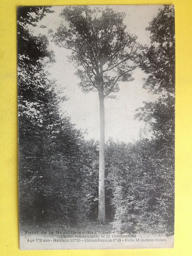 Cpa france forêt de la - cpa, 60