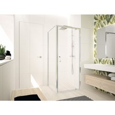Porte de douche pivotante