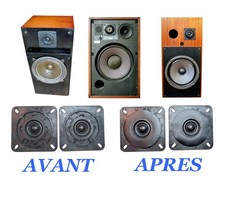 Enjoliveurs pour Tweeter 3a
