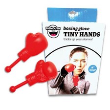 Gant De Boxe Mini Pour La Main