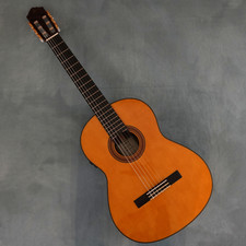 Guitare acoustique trans