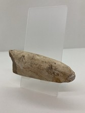 Belle tête de hâche polie