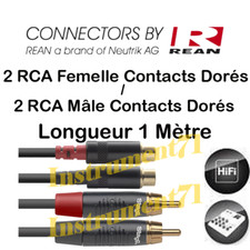 Câble Bretelle 2 RCA Mâle