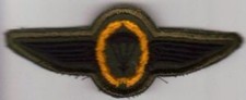 GERMANY SUBDUED JUMP WING 4½" -  AIRBORNE PARA GERMAN -  AWARDED TO US ABN et al