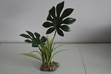 Terrarium Vivarium Large