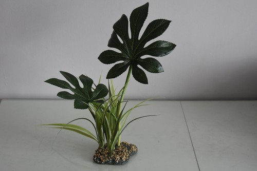 Terrarium vivarium large - vivarium,