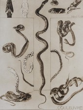 Mathurin MEHEUT : La