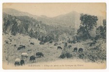 Village de Adrets vu des