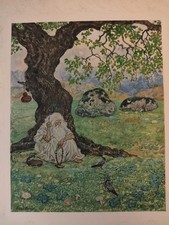 Assis avec les oiseaux –