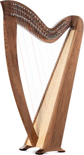 Irlandais celtique harpe - celtique, 29