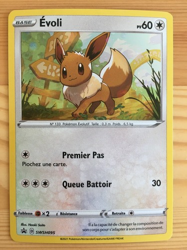 Carte pokémon holo - holo, evoli