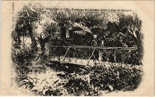 Old postcard VIETNAM SAIGON - Ponceau at the Botanical Garden of SAIGON (60075)