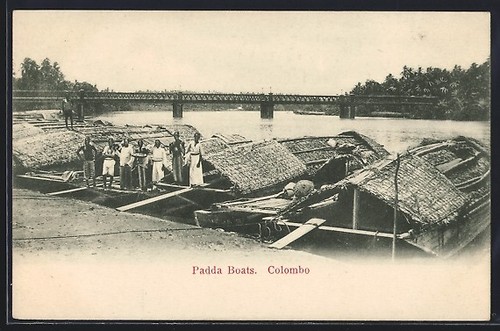 Carte postale colombo padda - colombo,,